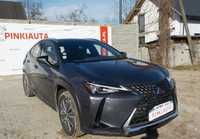 Lexus UX Okazja!!!