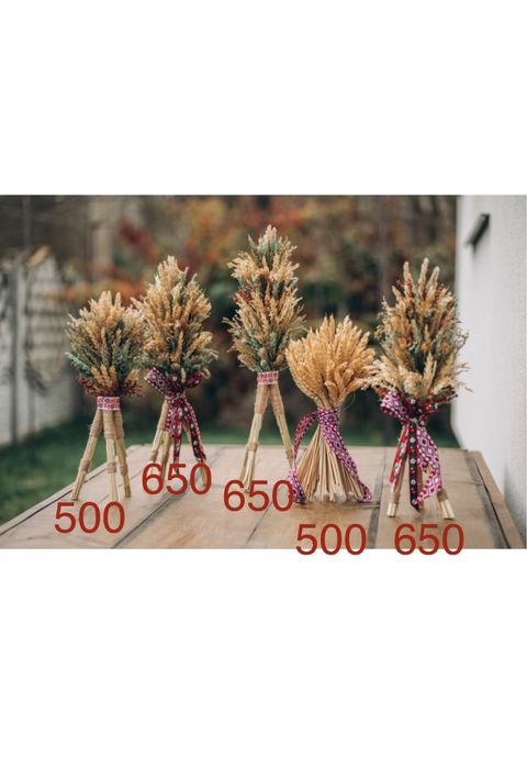 Дідух Ураінський актуальний