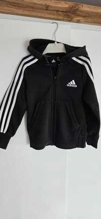 Bluza i leginsy 116cm Adidas dziewczęce!!!