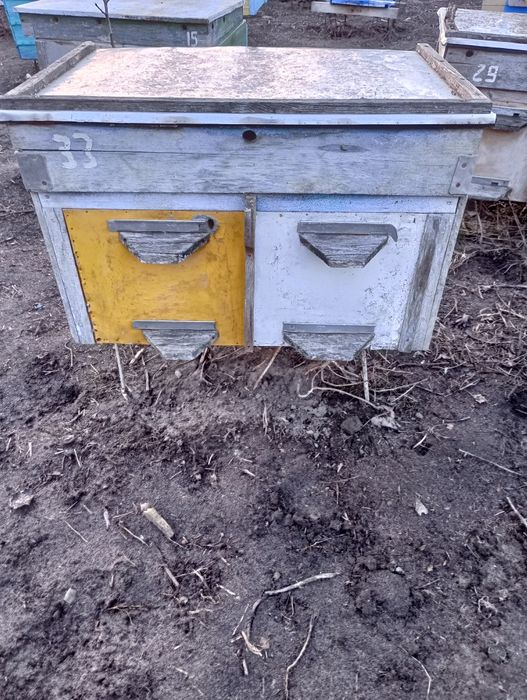 Продам вулики,пасіку