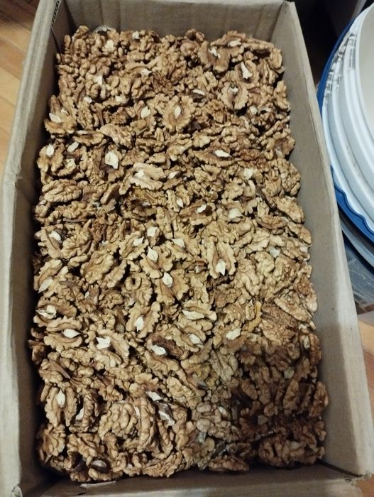 Волоський горіх. 270грн/кг. Цьогорічного збору. Світлий.