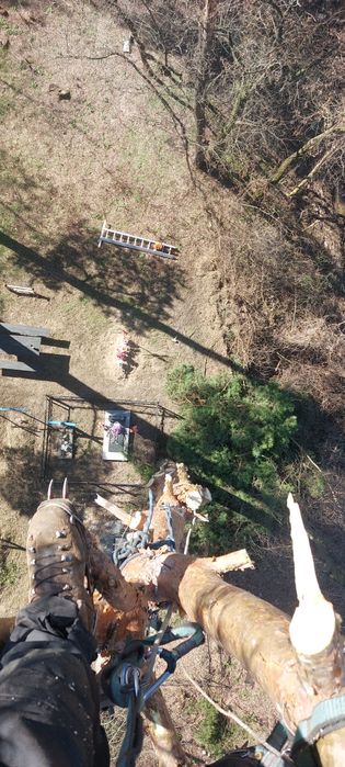 Спил деревьев,кронирование,обрезка веток.Дробление  веток на щепу.