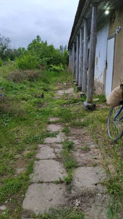 Продам дом в селе Матроска