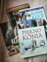 Zestaw książek o koniach i kucach