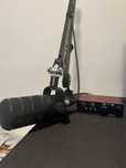 Rode PodMic + Scarlett Solo + Rode PSA1 + Behringer MICLINK