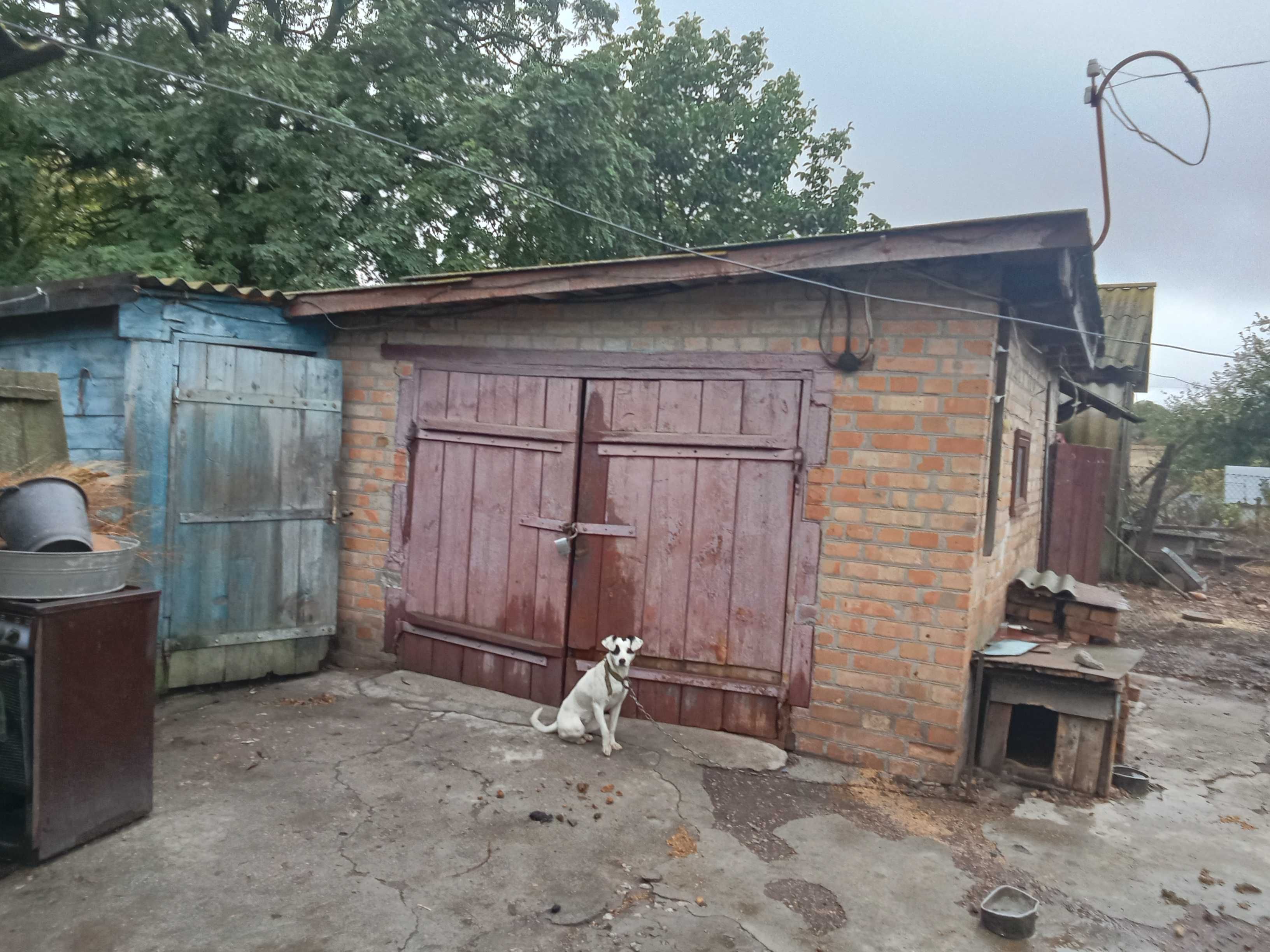 ЦІНУ ЗНИЖЕНО будинок в селі Панчеве - 11500$