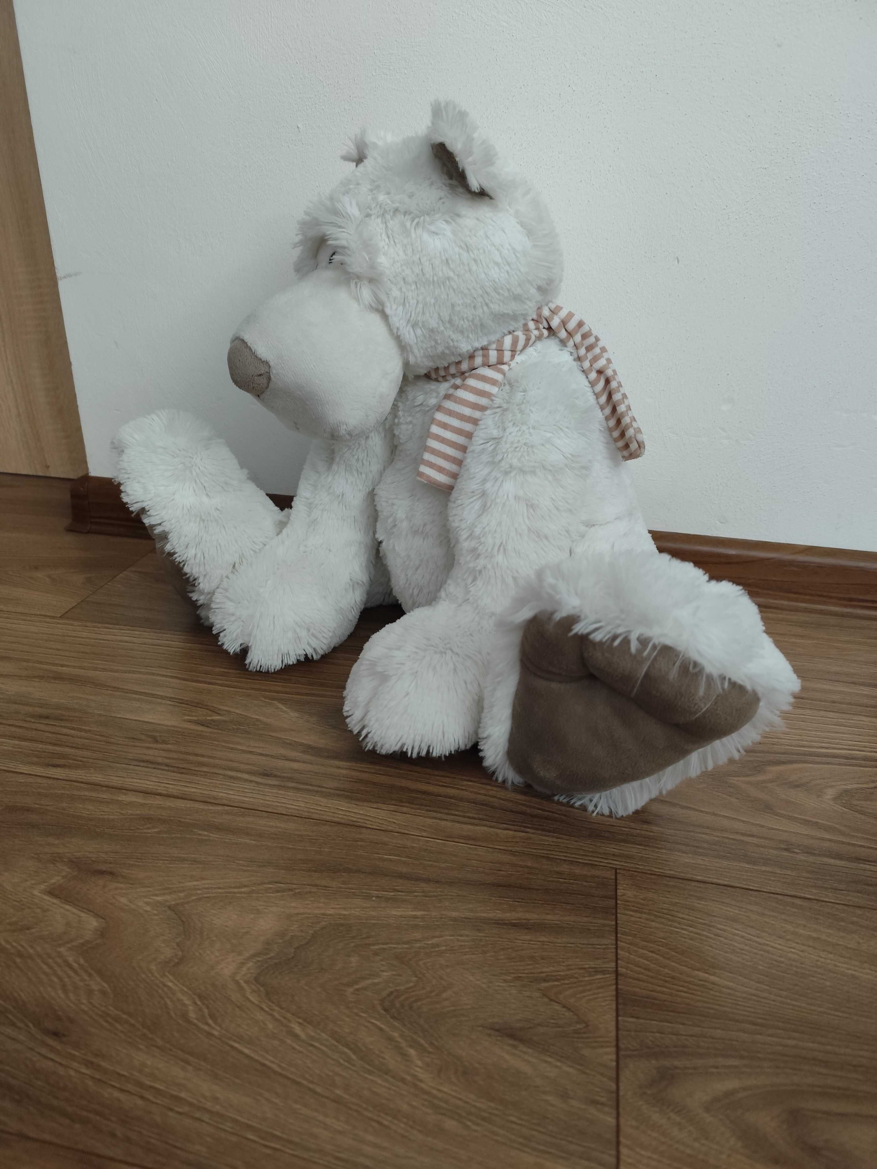 Miś polarny BEPPE