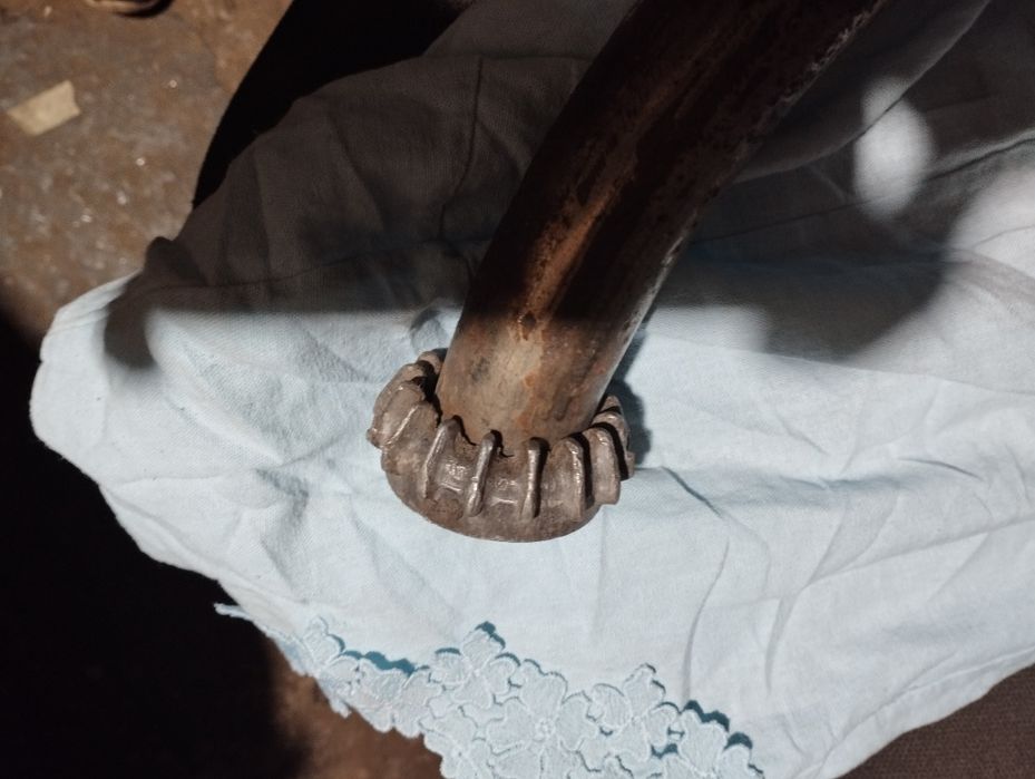 Панонія гайка глушника.