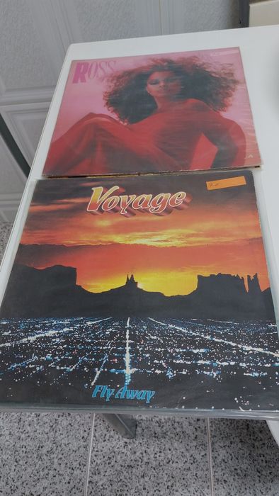 Lote de álbuns de vinil.