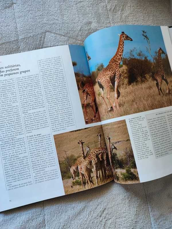 Livro: Vida Selvagem - Animais das Montanhas