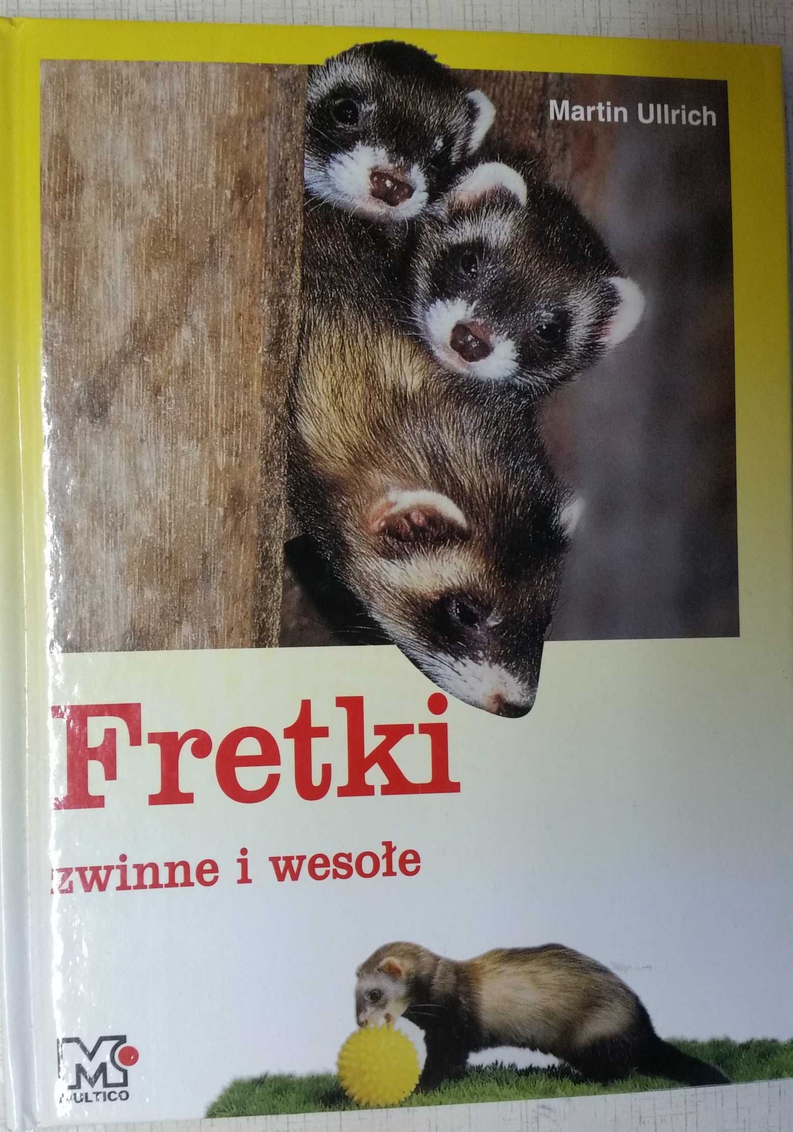 Fretki zwinne i wesołe