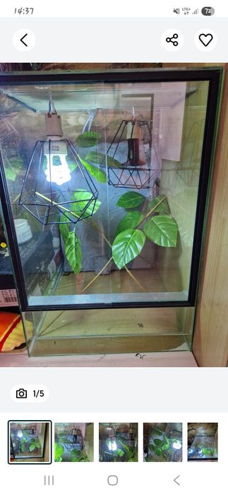 Terrarium z wyposażeniem  40×60