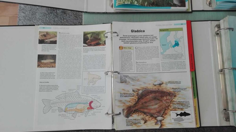 Przewodnik Wędkarski + 4 Segregatory Kolekcja 80 zeszytów Stan idealny