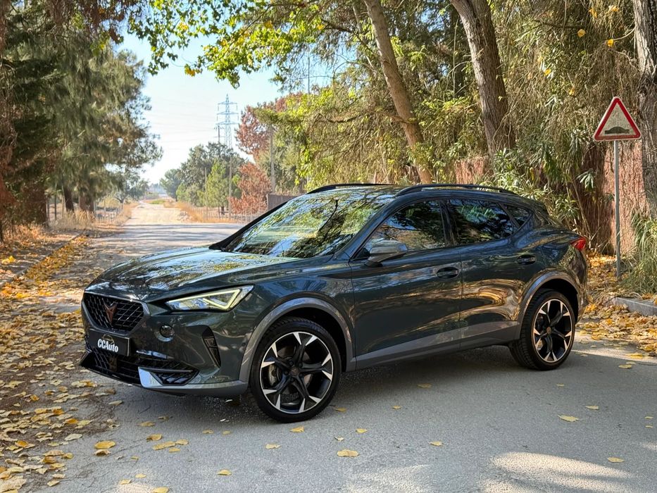 Cupra Formentor 2.0 TDI DSG 4Drive