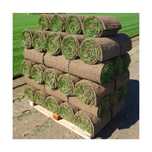 Trawa z rolki, producent trawy w rolce Przemysl, Sanok, Jaroslaw