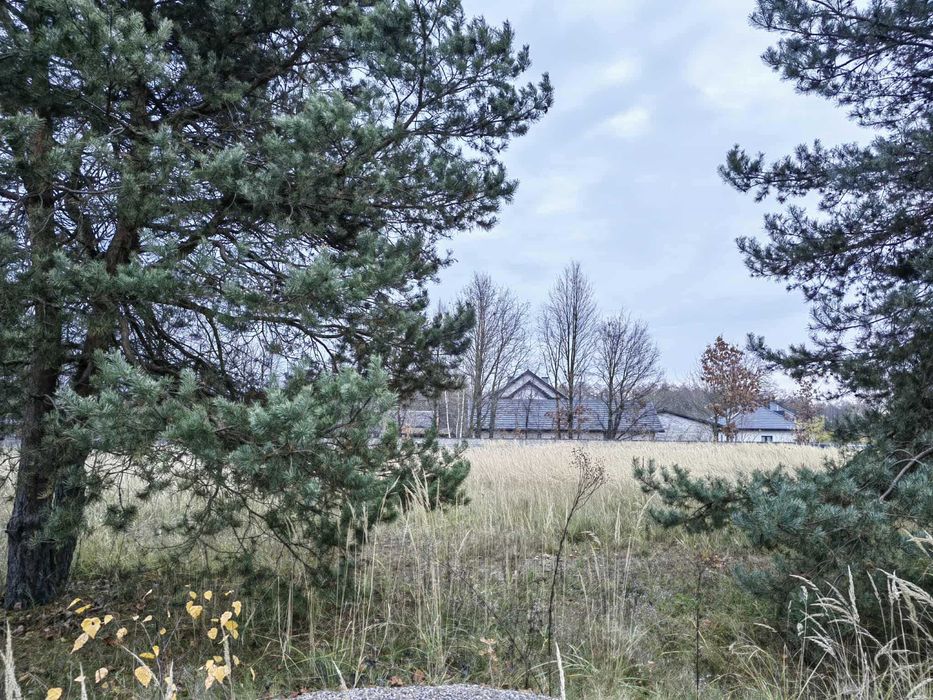 Dzierżawa działki 1500 m², Wincentów koło Pionek, ogrodzona z prądem