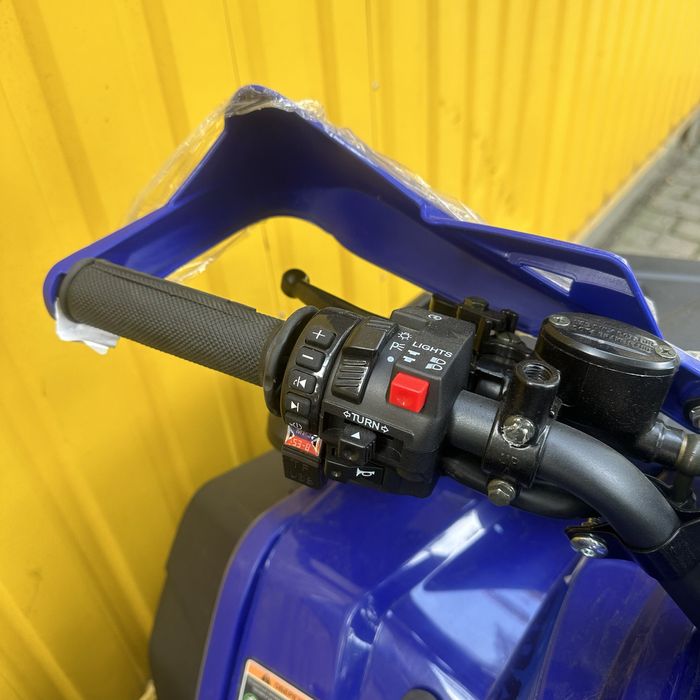Новий квадроцикл Forte AFP125 Pro 2025/AFN150 Pro 2024 дитячий