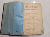 Книга антикварна Zoologia 1892 року