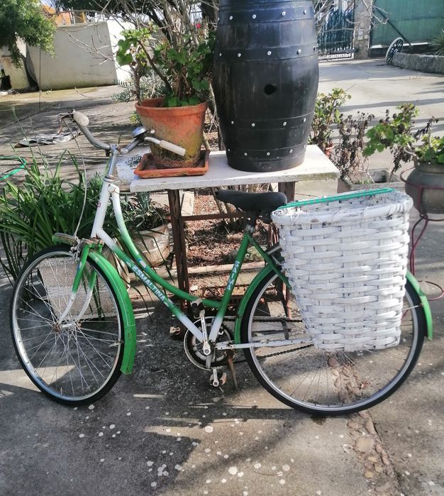 Bicicleta verde com alforge antigo