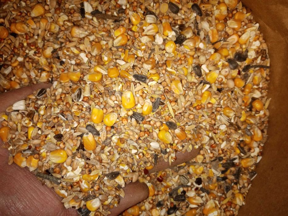 Karma dla gołębi Uniwersalna U 25kg