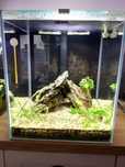 Akwarium Aquael shrimp set duo 49 l