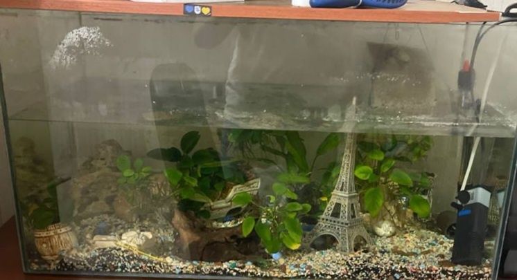 продам аквариум с совсем