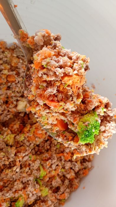 Domowe jedzenie dla psów – naturalne!