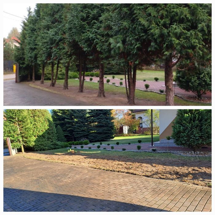 Wycinka drzew oraz karczowanie działek