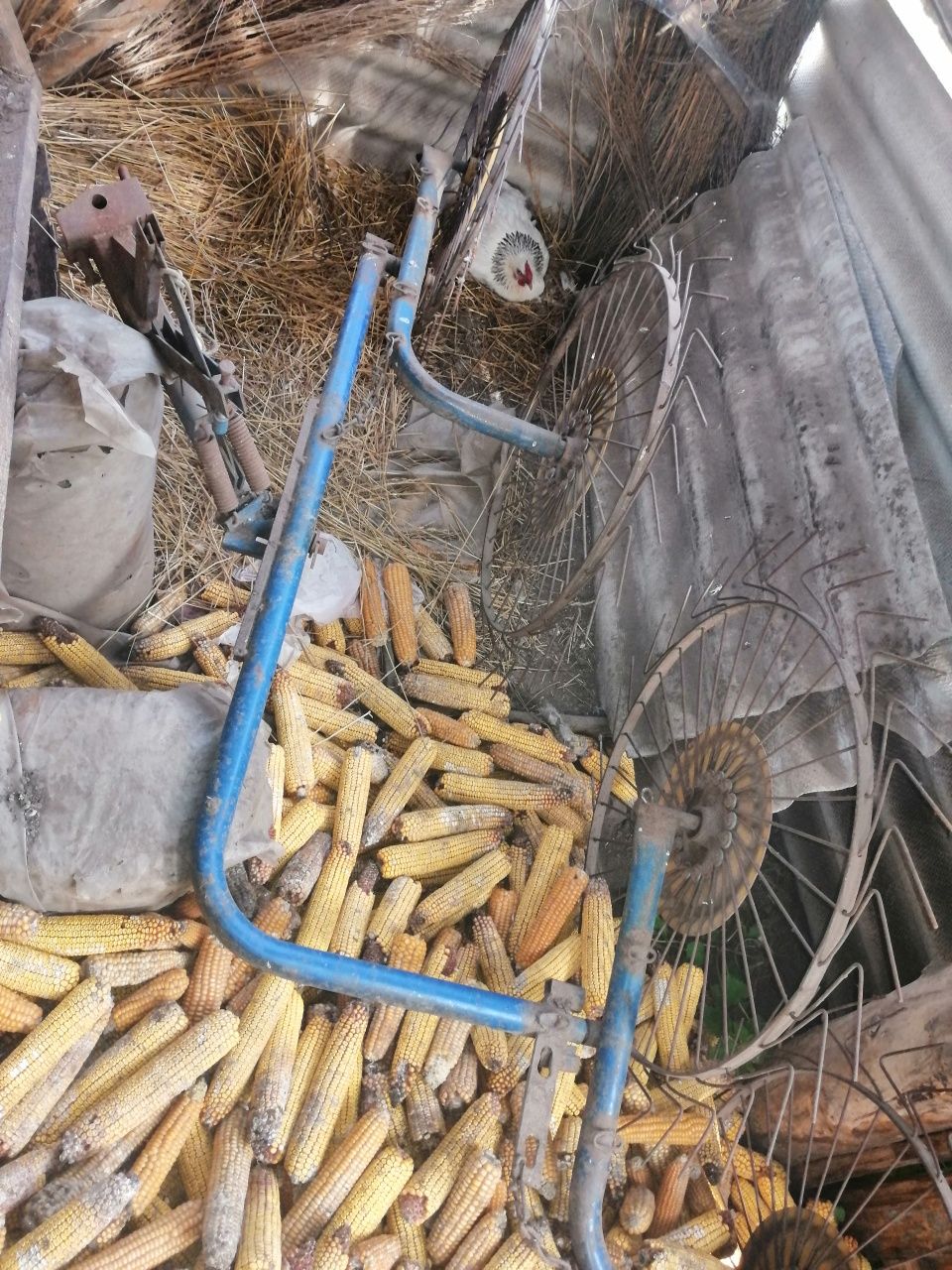 Міні-трактор Зубр-160RK і все навісне до нього
