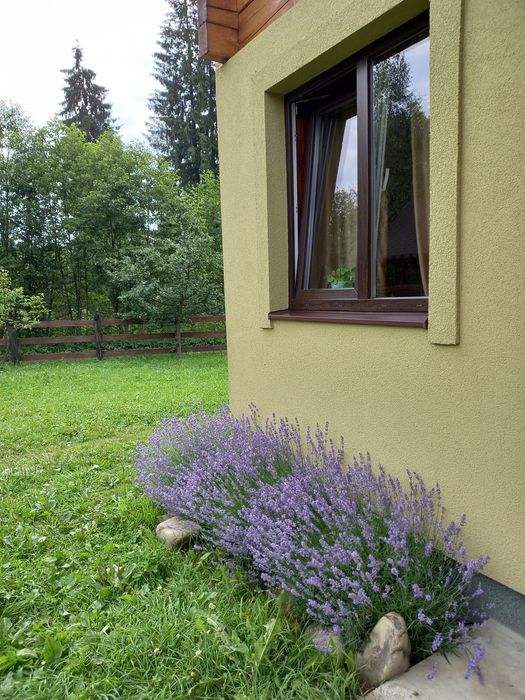 Котедж "Квітуча долина"