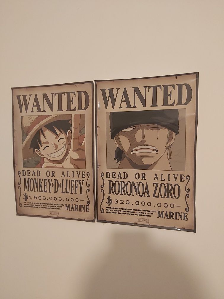 Poster do luffy e do zoro