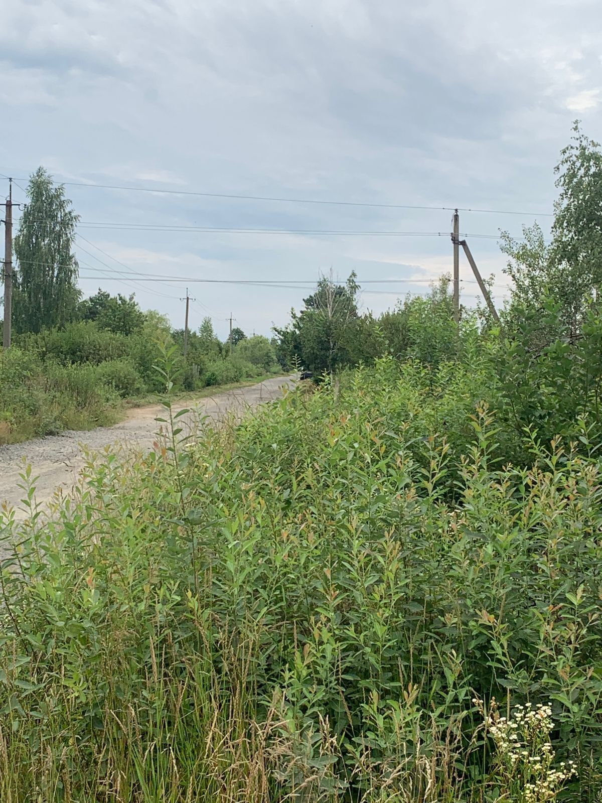 Продам дачу Тетерівський масив вул.Кленова