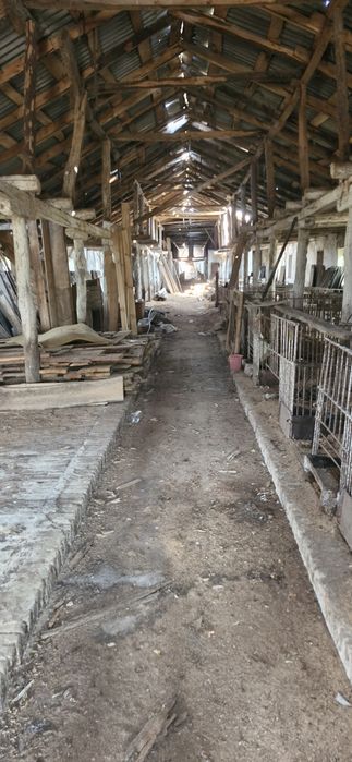 Продам дві ферми