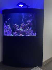 Морской аквариум угловой на 150л