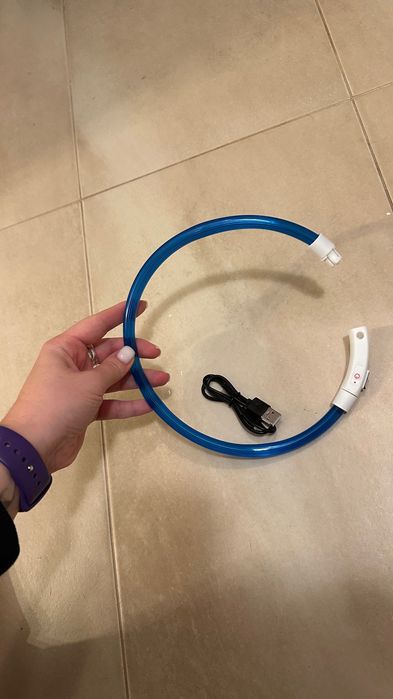 obroża świecąca dla psa