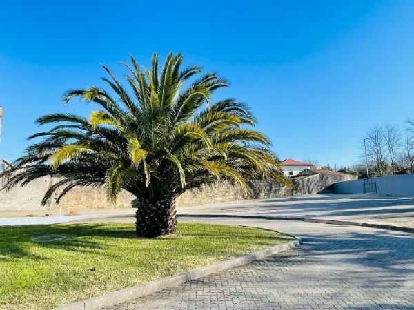 Escritório próximo ao Arrábida Shopping
