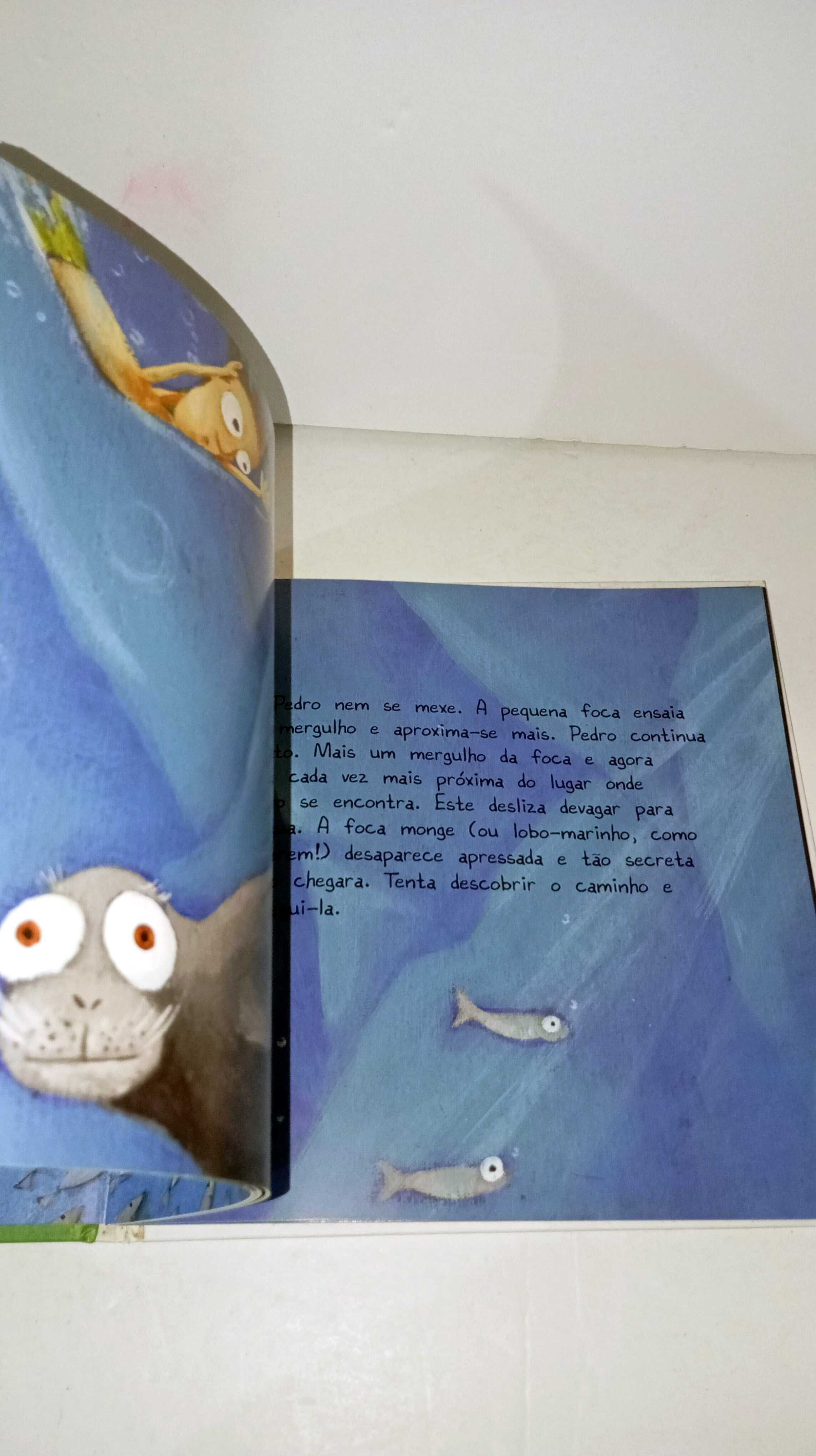 Pedro Pesquito e a Câmara dos Lobos