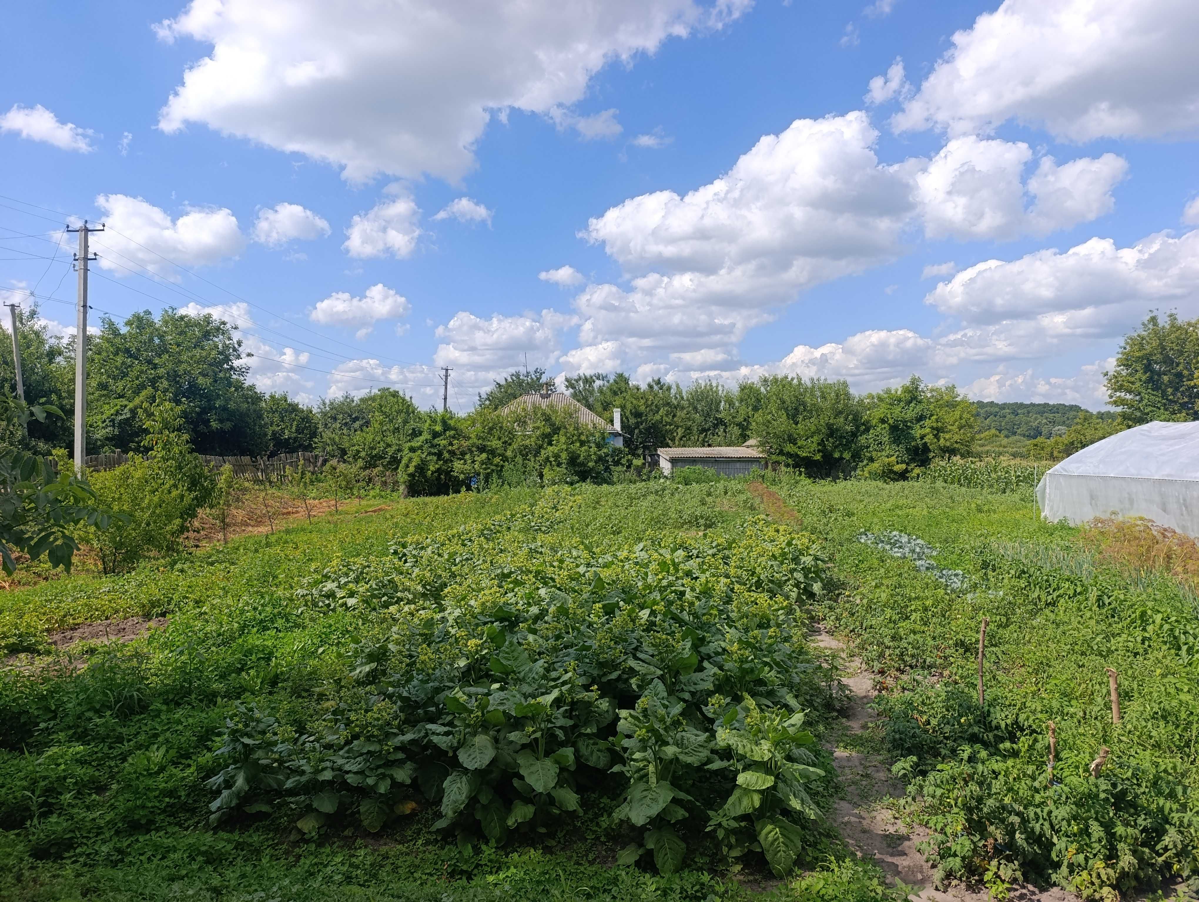 Продаж будинку в с.Ковтуни