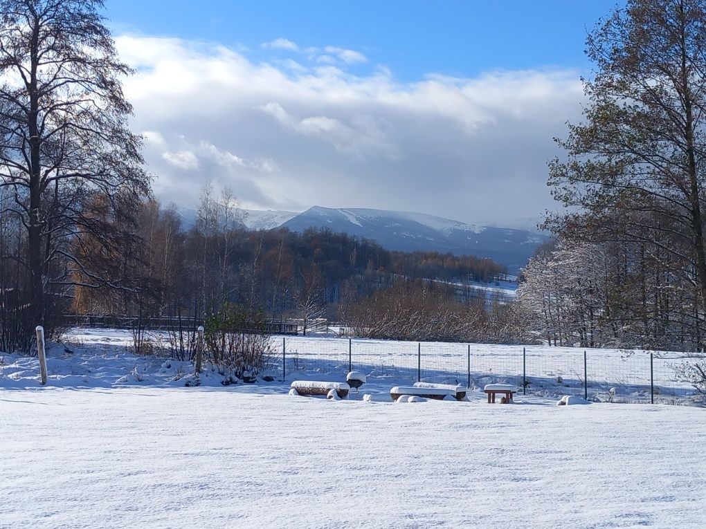 Dolina Sosny domek w Bukowcu k. Karpacza