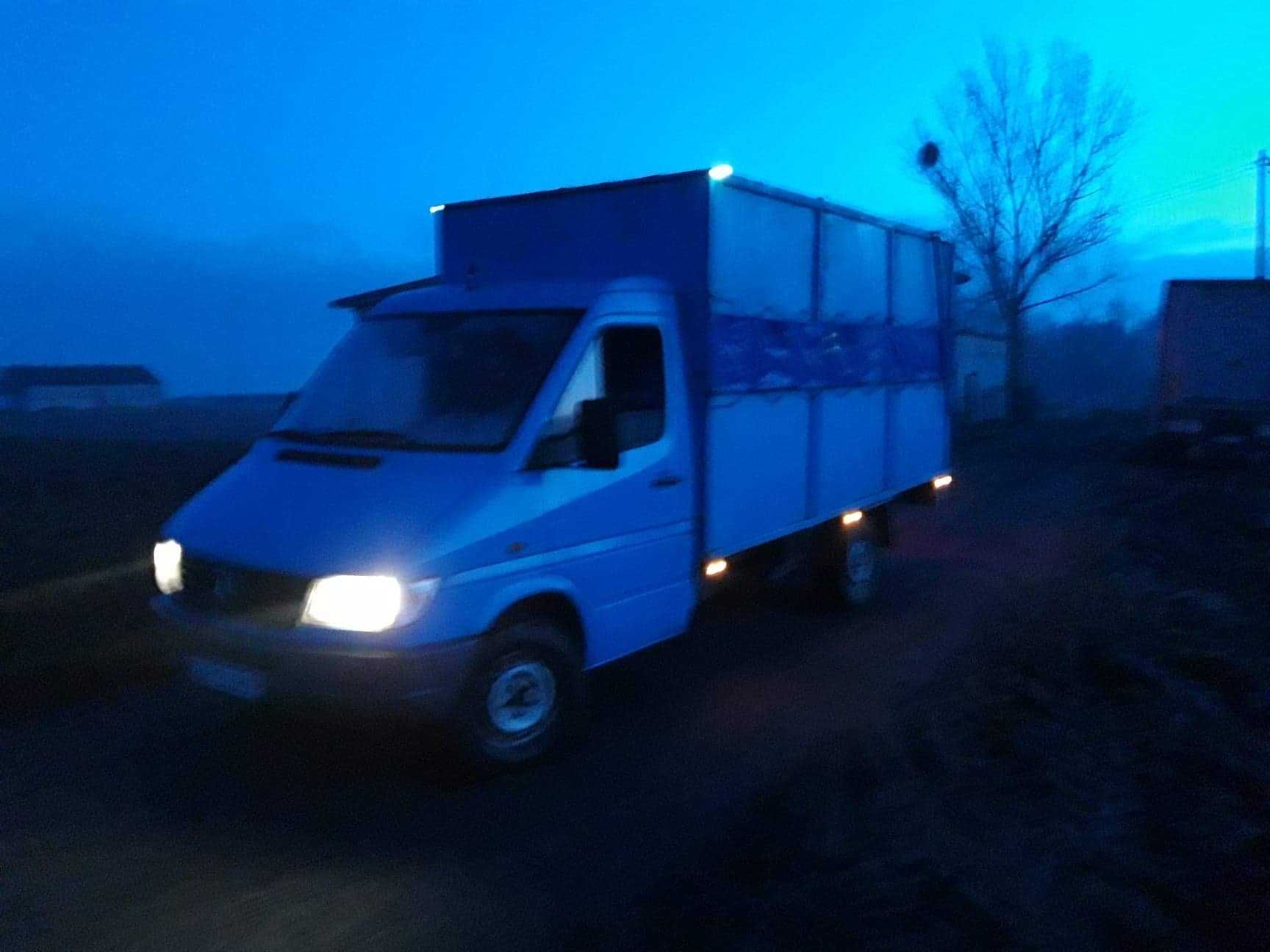 Skup i transport macior knurów i bydła