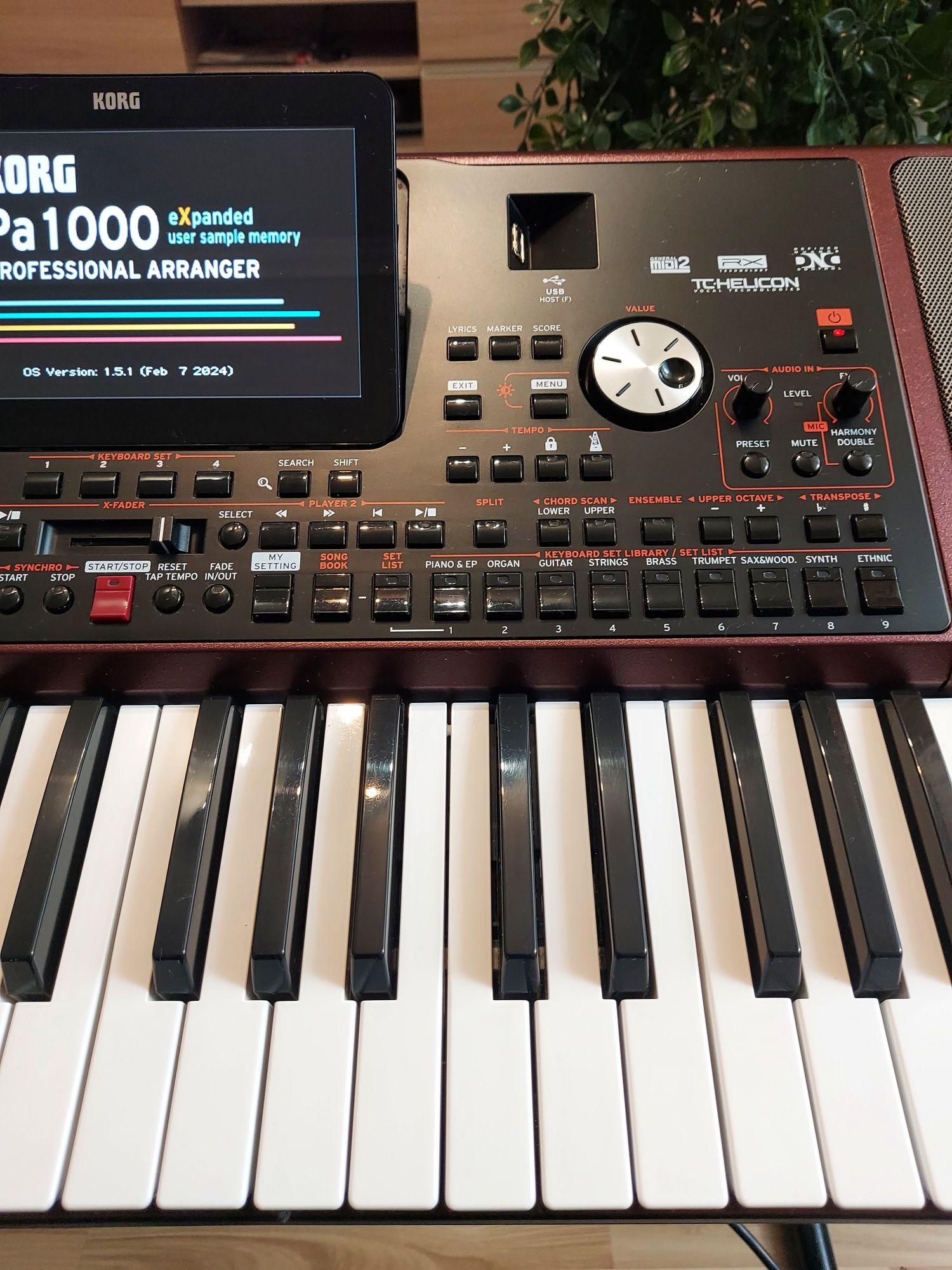 Korg pa  1000 stan dobry