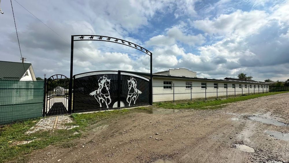 Продаж масштабного готового бізнесу