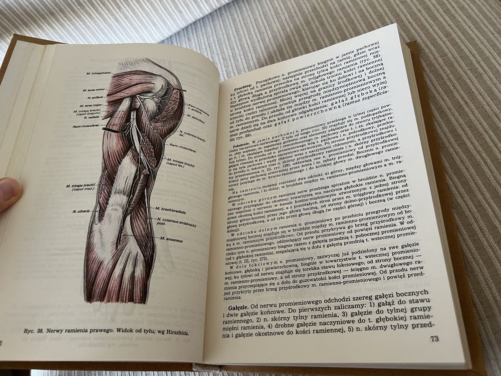 Anatomia czlowieka V Adam Bochenek Michal Reicher
