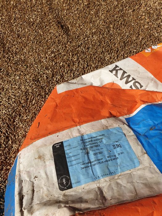 Żyto hybrydowe Gilmor