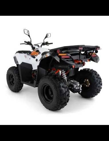 Quad Kayo AU300 T3b Raty/Leasing/Transport Cała Polska ATVMOTOSQUAD