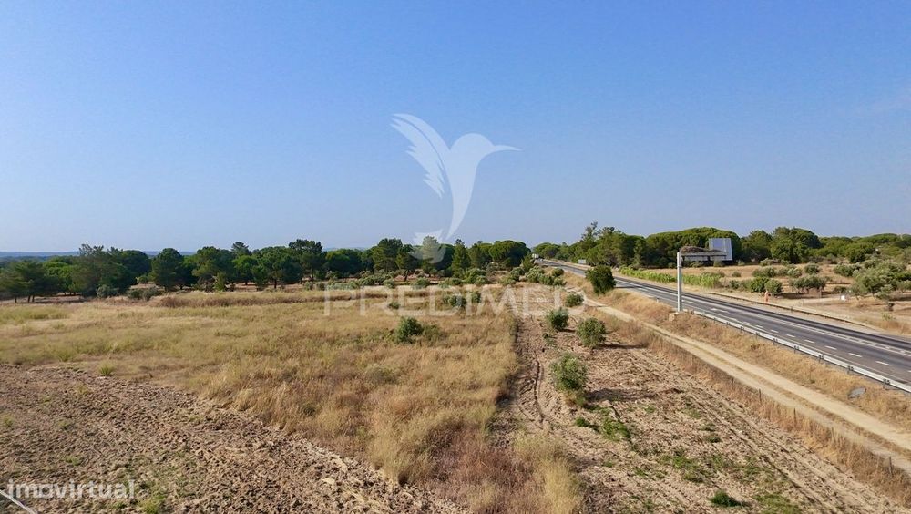 Terreno com 18.000 m² em Alcácer do Sal