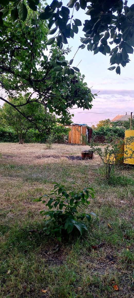Продам дачу, земельну ділянку в м-н Низи