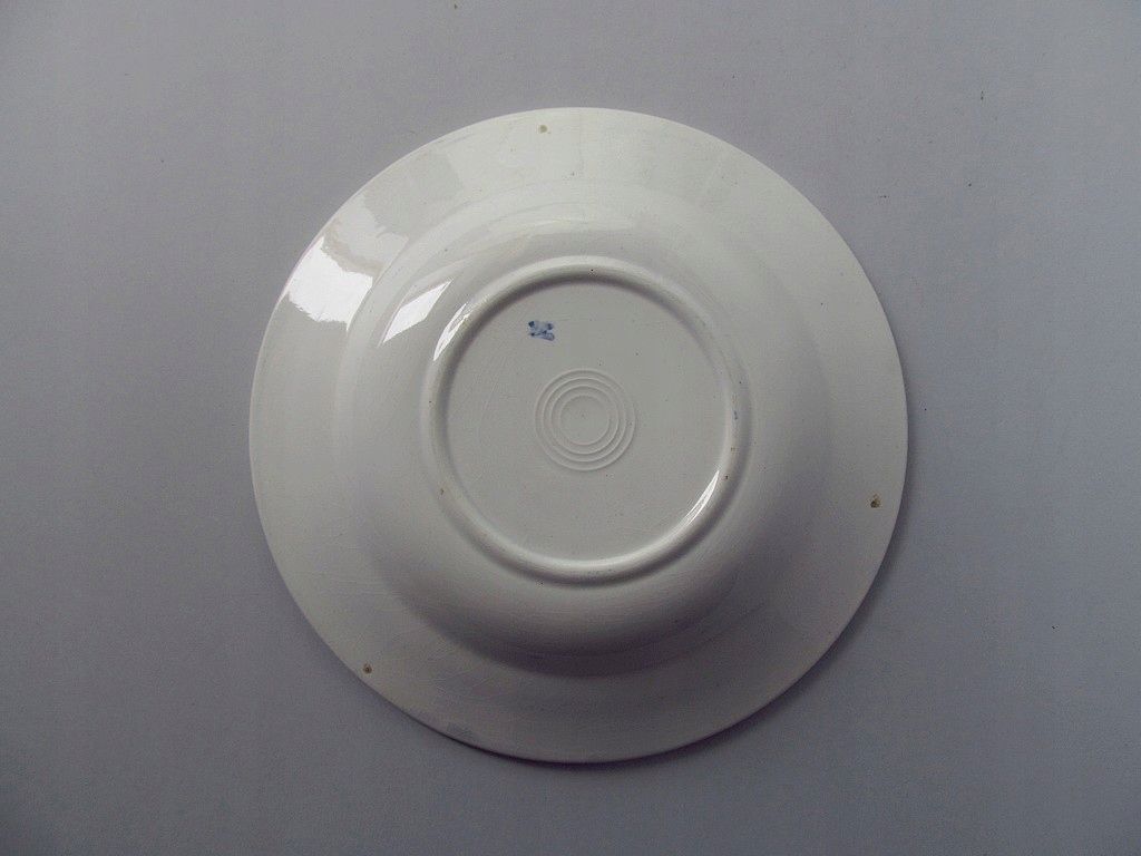 talerz ceramiczny fajansowy xix w. wzór cebulowy