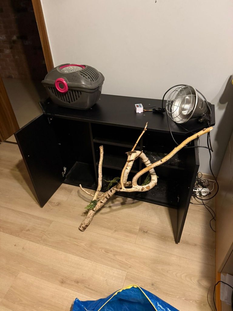 Terrarium 200l gady/płazy