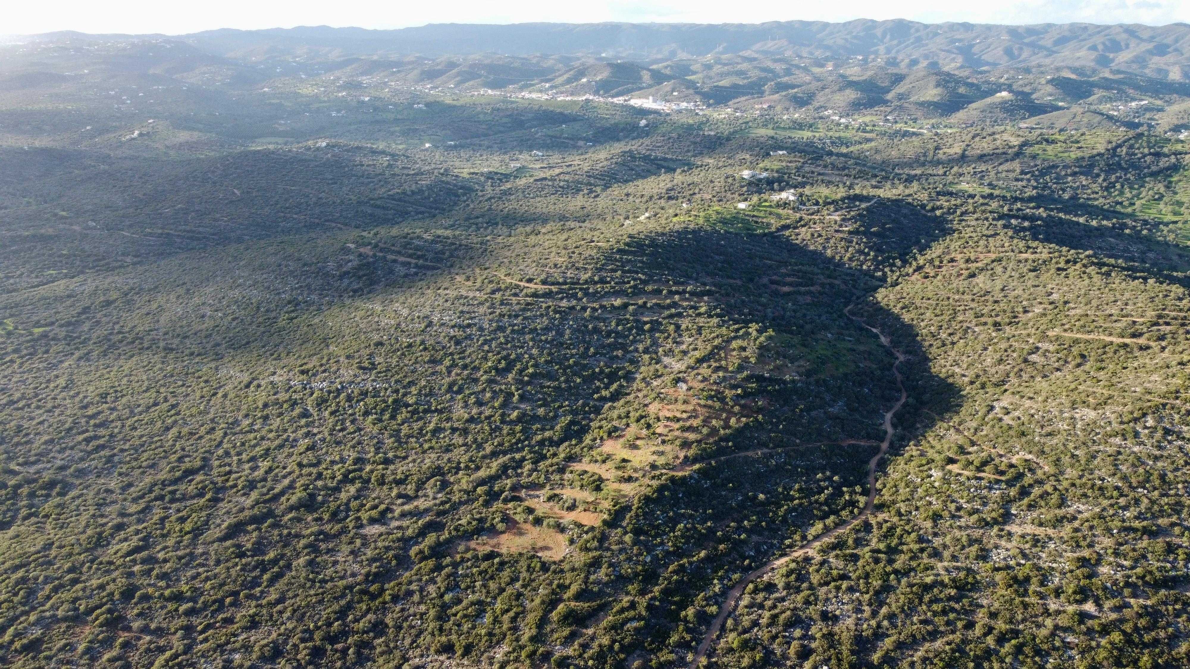 Terreno Rustico Algarve 19500m2